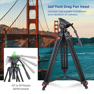 01trp009-dv-6f-06.v2_a201.jpg