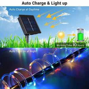 07clt002-12m-rgb_a202.jpg