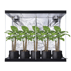 1-25 Gallon Grow Bags Garden Fabric Pot Container Non-Woven Aeration Plant 15 Gallon-5 Packs - Trend Times Toy Stores