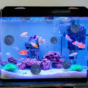 1.2" Bio Balls Aquarium Fish Tank Wet Dry Canister Pond Filter Media Biofilter 800pcs & Black - Trend Times Toy Stores