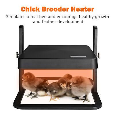 10"x10" Chick Heating Plate Brooder Plate Adjustable Height Warms Up to 15 Chick - Trend Times Toy Stores