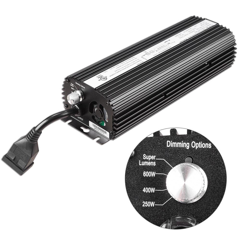 11bls002-600-d3f.v1-b.jpg