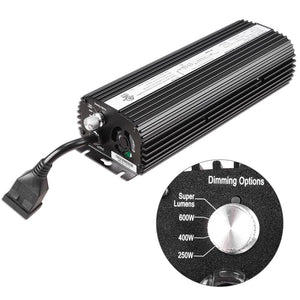 11bls002-600-d3f.v1-b.jpg