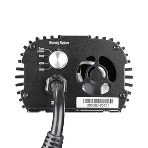 11bls002-600-d3f.v1-f.jpg