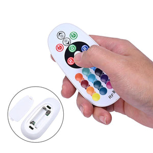11dsl003-control-rgb_w202.jpg