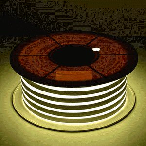 11dsl003-n100f-rgb.v1_w411.gif
