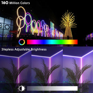 11dsl003-n50f-rgb.v1_wa201.jpg