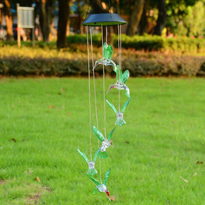 11swc001-bird-00-p04a.jpg