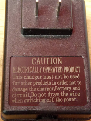 12 Volt AA Battery Charger for Kids Ride-On Cars and Motion Toys Trend Times 9