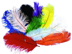 12"- 16" Ostrich Plume Costume - Trend Times Toy Stores