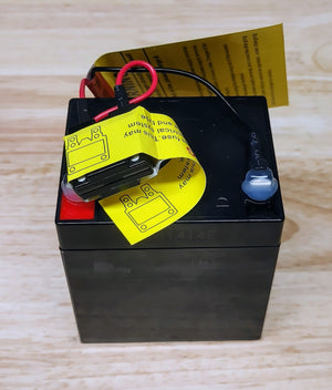 12V 4.5Ah Rechargeable Battery for Kids Ride-On Car and Truck Trend Times Variant 0