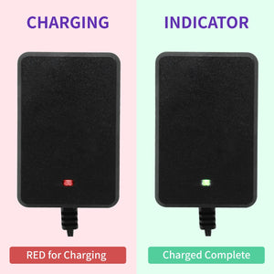 12V Battery Charger with Charging Indicator for Kids Ride-On Cars Trend Times 4