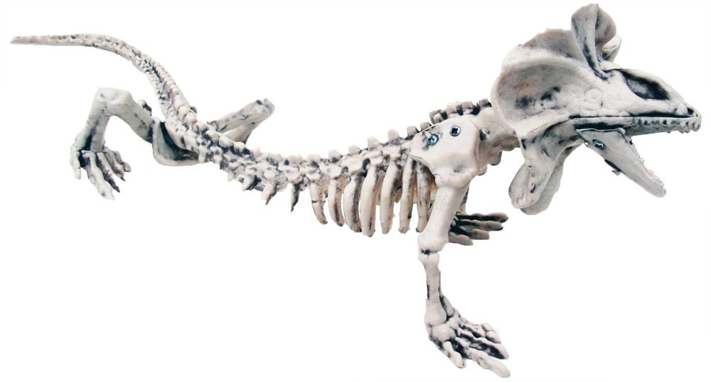 16" Skeleton Lizard Costume - Trend Times Toy Stores