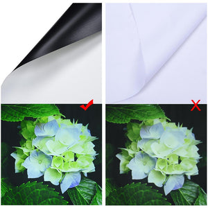 16pjscomparison1000_45dc742b-758b-483e-bc2c-b6c1a1659266.jpg
