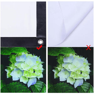 16psc004-p150r169-i.jpg