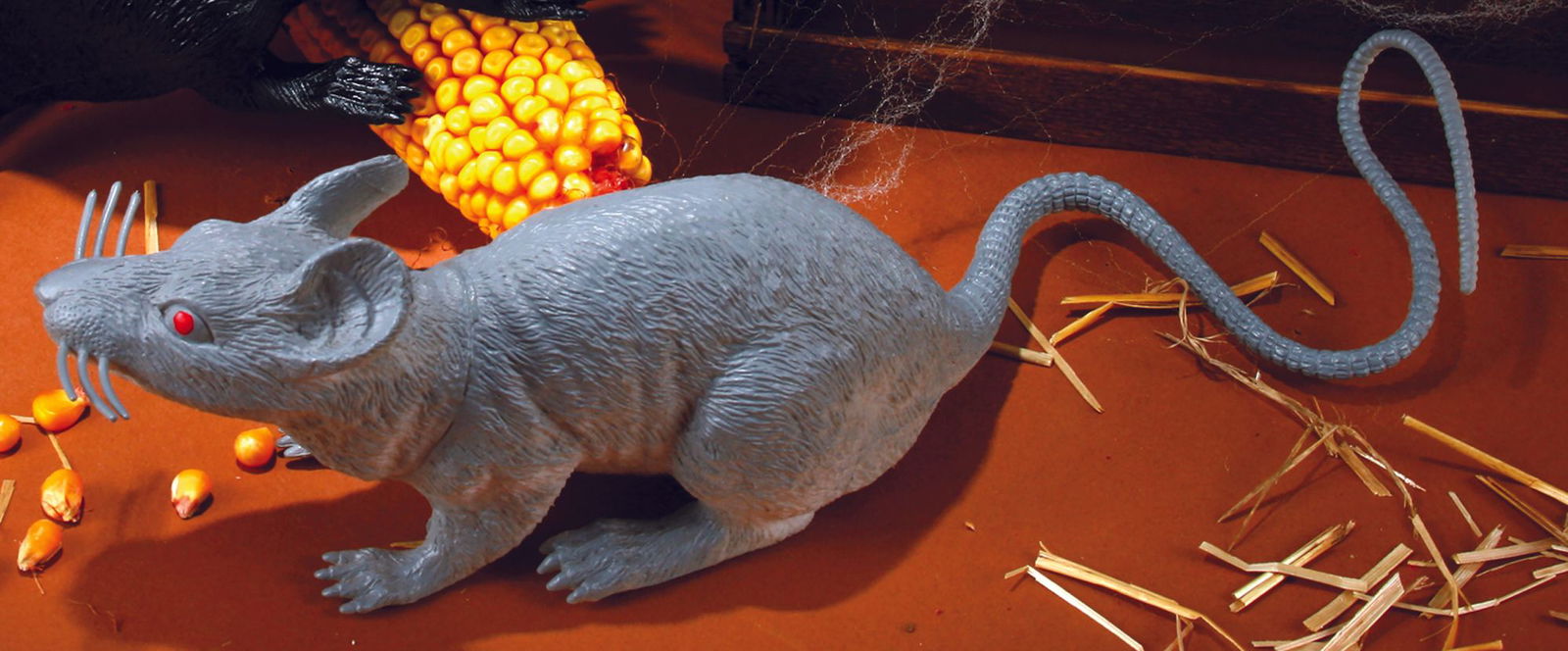 17" Big Gray Rat Costume - Trend Times Toy Stores