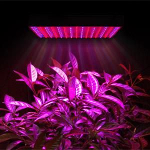 225-high-power-12v-red-blue-led-plant-grow-light-panel-50.png