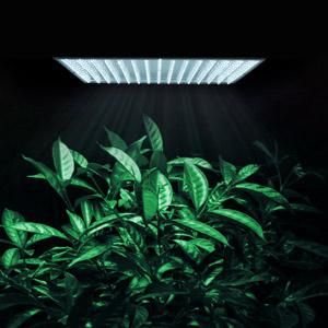 225-high-power-ultrathin-white-led-plant-grow-light-panel-61.png