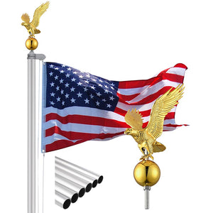 22flp004-20s-pt-11_lasv.jpg