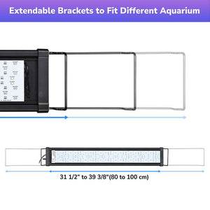 23led012-108rgb.v2_a205.jpg