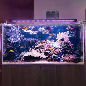 23led013-144rgb_10.jpg