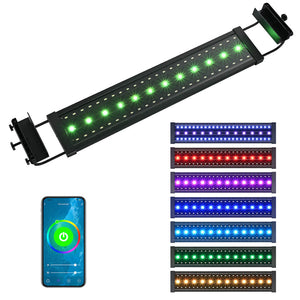 23led014-wf24-06_101b.jpg