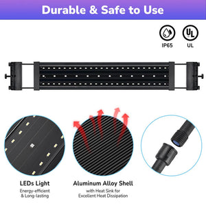 23led014-wf24-06_206a.jpg