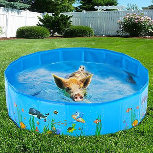 32-pet-swimming-pool-kiddie-collapsible-water-pond-anti-slip-bath-tub-dog-cat-161.png