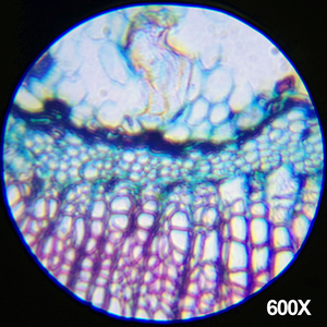 48-piece-microscope-science-kit-93.png