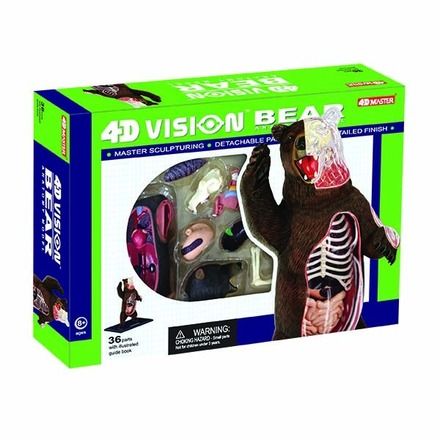 4d-vision-brown-bear-32.png