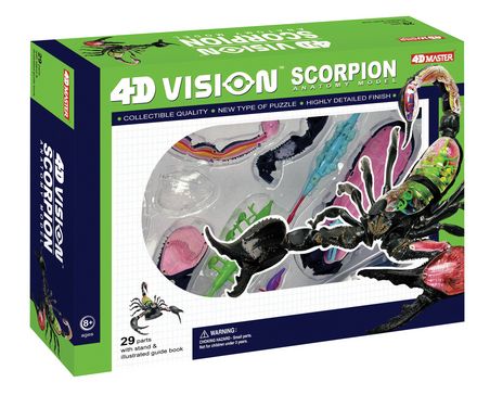 4d-vision-scorpion-anatomy-model-85.png