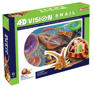 4d-vison-snail-anatomy-model-85.png