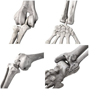 5-4ft-decoration-full-body-skeleton-props-movable-joints-haunted-house-halloween-30.png