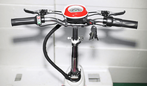 600-watt-comp-electric-scooter-w-front-rear-suspension-plus-extras-103.png