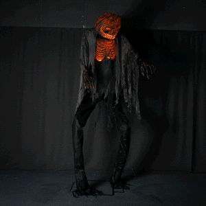 60hal046-ngg_105.gif