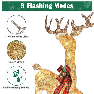 60xma025-deer3-15.v1_wa202.jpg