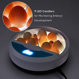 9-eggs-incubator-chick-duck-digital-hatcher-led-candler-home-school-lab-brooding-66.png