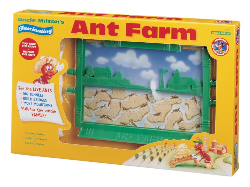 ant-farm-is-a-classic-toy-and-a-great-value-68.png