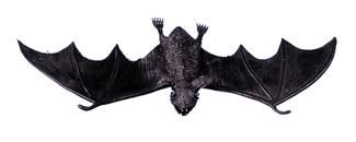 bat-vinyl-17-inch-35.png