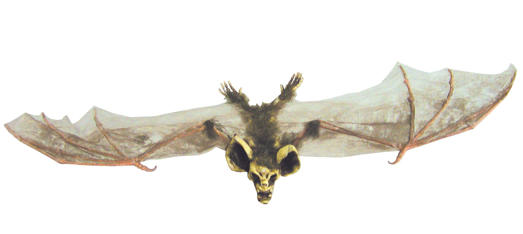 bat-with-skull-head-sml-brown-44.png