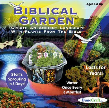 biblical-garden-grows-before-your-eyes-47.png