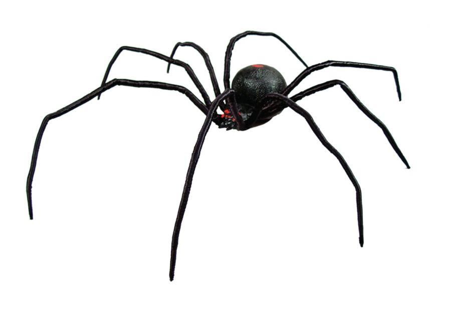 black-widow-spider-24-inch-35.png