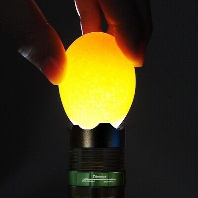 bright-led-egg-candler-tester-incubator-chicken-poultry-outdoor-camping-lamp-5w-59.png