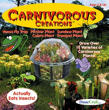 carnivorous-creations-grow-dome-terrarium-kit-raise-venus-fly-traps-more-47.png