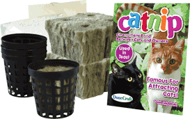 catnip-hydro-dome-refill-pack-41.png