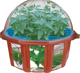 catnip-hydro-dome-refill-pack-43.png