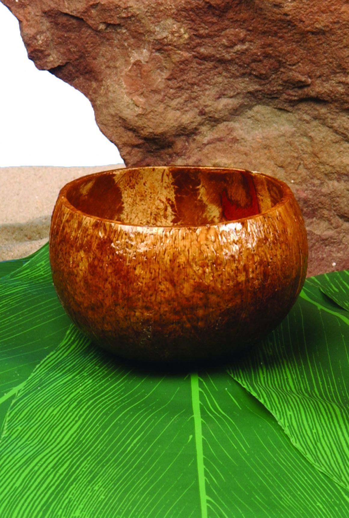 coconut-cup-costume-18.png