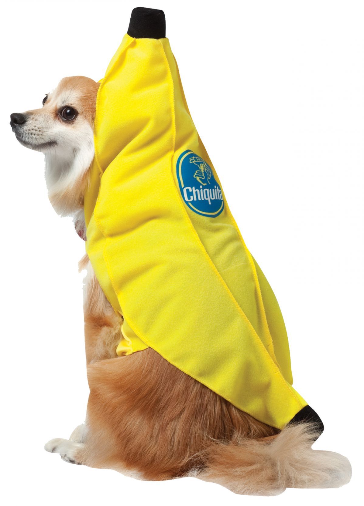 cqb-dog-costume-x-large-costume-18.png