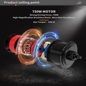 d19ebk015-48v750w-06_201a.jpg