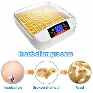 digital-egg-incubator-turkey-hatchery-55-chicken-duck-bird-birthing-auto-turning-38.png